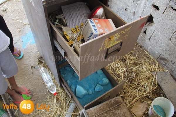 abo selmeiy 0528 (45).JPG